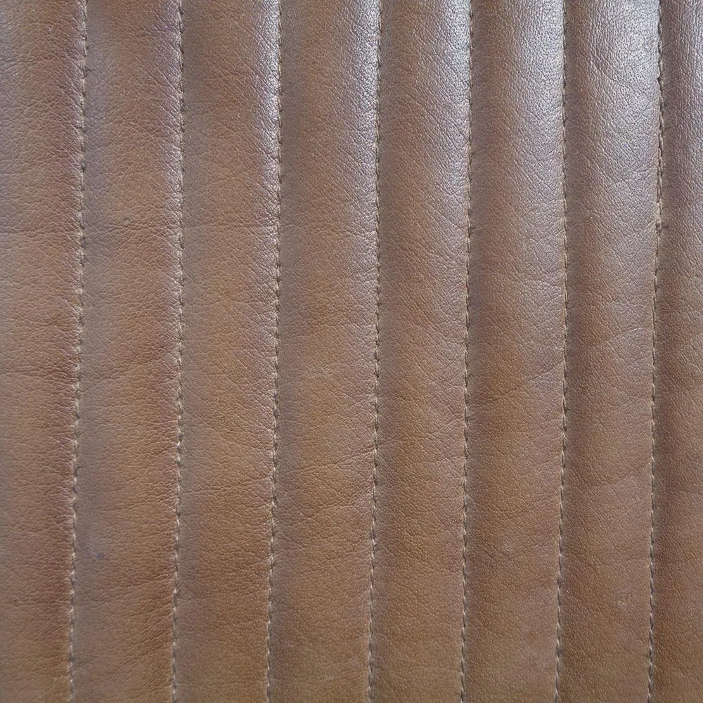 Potro Nieman - Imagen 7